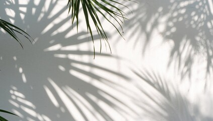 Leaf shadow and light on wall texture, seasonal change