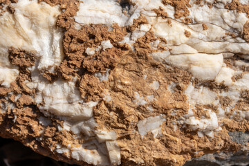 Eroded White Marble or Quartz Texture Intertwined with Dry Brown Soil