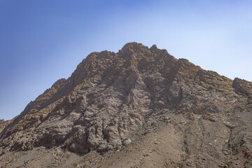 Close-up of Green Succulent Leaves of a Desert Plant in Rocky Terrain