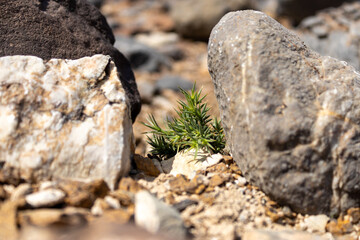 Macro background texture of rough brown porous rock with deep erosion
