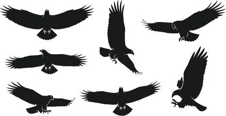 Silhouette eagles in flight and hunting poses, black outline birds, minimal vector design, dynamic wing spread, predator motion concept, wildlife illustration