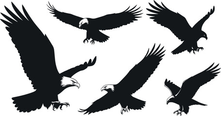 Silhouette eagles in flight and landing poses, black outline birds, minimal vector design, dynamic wing spread, freedom concept, wildlife illustration