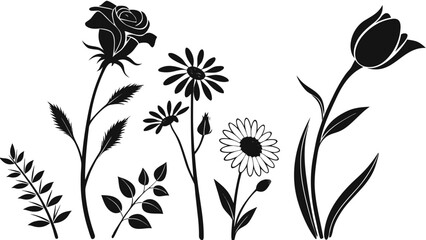 Elegant Floral Silhouette: A collection of various, beautiful flowers and leaves arranged with artistic silhouette in elegant arrangement. 