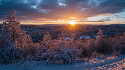 Naklejka premium Evening landscape illuminated by sunlight, showcasing seasonal change