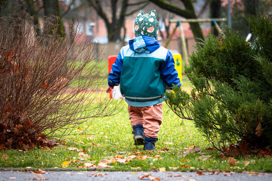 Little child walking alone in autumn park wearing colorful jacket and hat, back view of toddler exploring outdoors