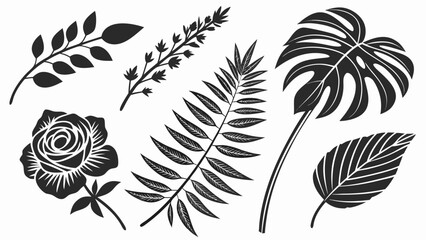 Botanical Black Silhouettes: A sophisticated collection of meticulously crafted, stark botanical silhouettes including leaves and flower, suitable for artful design.