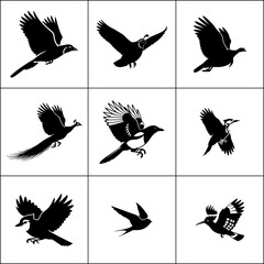 Set of 9 bird silhouettes in flight. Collection of flying bird icons. Gull or dove poses.