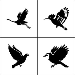 Collection of 4 large bird silhouettes in flight. Eagle or hawk vector set.