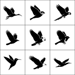 Set of 9 flying bird silhouettes. Vector collection of bird icons.