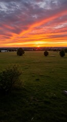 Vibrant Sunset Over Lush Green Field with Silhouetted Trees.