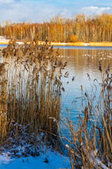 Winter landscape. A little  pond in a park in winter. Katowice,  Silesia, Poland © krysek