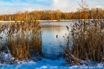Winter landscape. A little  pond in a park in winter. Katowice,  Silesia, Poland © krysek