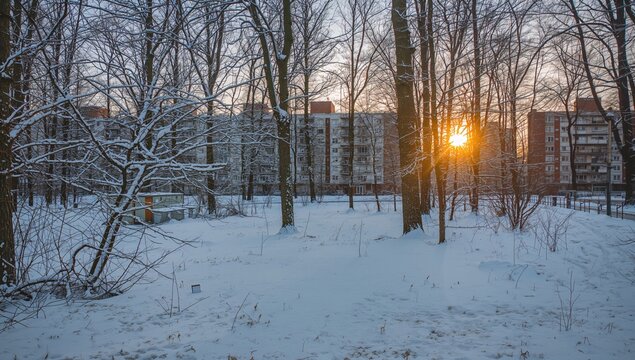 Snow covers the ground and tree branches in a park after a recent snowfall, with footprints visible in the snow. Residential buildings stand beyond the trees as the sun sets and shines through.