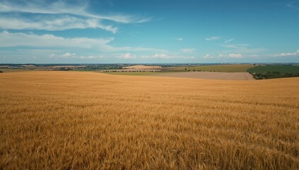 Aerial perspective of harvested wheat fields, showcasing agricultural efficiency