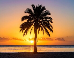 Silhouette of a palm tree against a vibrant sunset over a calm ocean with subtle cloud formations along the horizon. The beach is empty