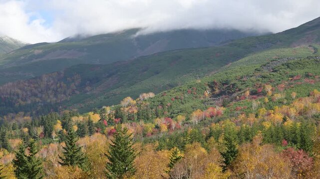 Time-lapse panoramic view of a scenic autumn landscape in Biei, Hokkaido, Japan, featuring clouds drifting over mountains and colourful forest foliage.