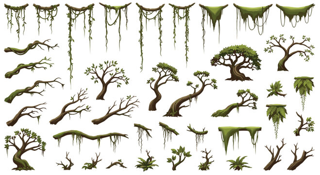 Stunning collection of jungle vines and ancient trees, perfect for creating immersive natural environments and adventurous scenes