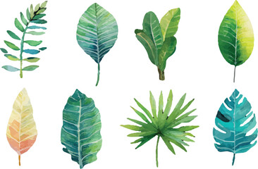 Obraz premium collection of green leaves