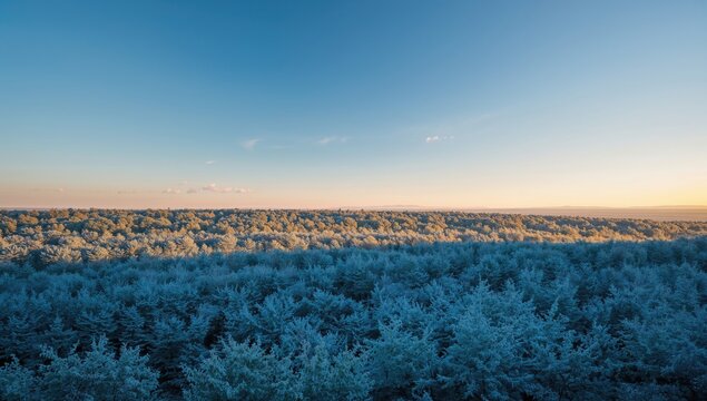 Japan autumn landscape featuring isolated trees and blue sky, highlighting seasonal change - Powered by Adobe