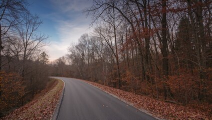 Fototapeta premium A paved pathway leading into a forest, erosion risk