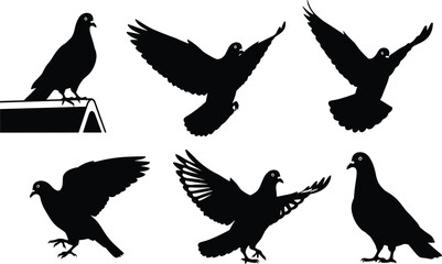 Pigeon silhouette vector set, flying pigeon illustration, perched bird design, urban wildlife artwork, black bird graphic, decorative animal drawing collection