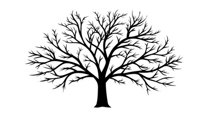 Silhouette of a bare tree