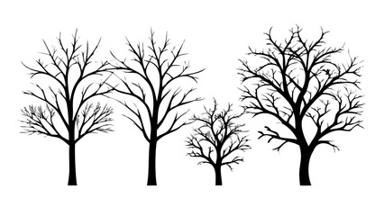 Obraz premium Striking silhouette of bare trees with intricate branches creating a dramatic, artistic natural scene for design projects