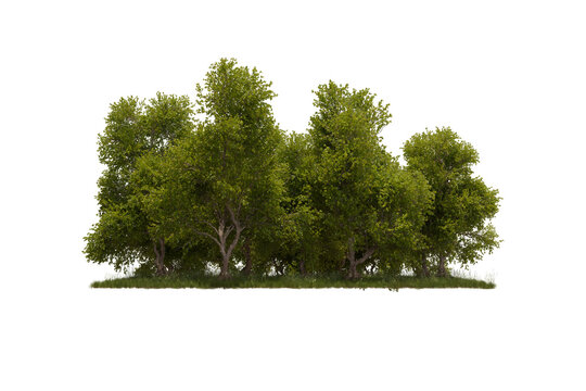 Clustered Patterns Tree Tree Cluster Images – Browse 223,890 Stock Photos, Vectors, and Video ...