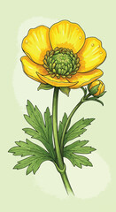 Vector Botanical Illustration of Yellow Flower with Green Foliage in Modern Style for Floral Design and Nature Artwork