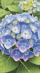 Vector Illustration of Blue Hydrangea Flowers in Modern Botanical Style with Gradient Blue and Green Colors for Floral Design