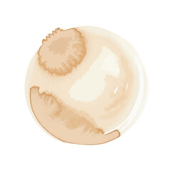 Minimalist Vector Illustration of Coffee Bean in Organic Style with Natural Brown and Cream Colors