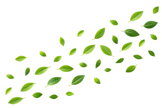 Fresh green leaves flying isolated on transparent background in a wave pattern