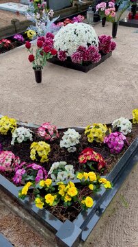 Freshly decorated grave with colorful flowers and white chrysanthemums &mdash; slow camera move from left to right revealing symmetry, peace, and tender care as a symbol of remembrance and quiet respect, Ve