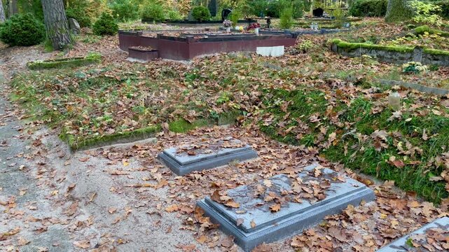 Two graves of child and adult covered with autumn leaves in quiet forest cemetery &mdash; fallen foliage, moss and natural light symbolizing memory, tenderness, and the unbroken bond between generations