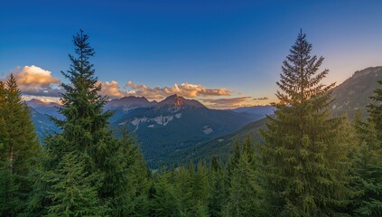 Fototapeta premium Golden sunset lights up the tips of spruce trees beneath a clear blue sky in the highlands.