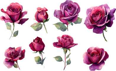 Fototapeta premium seamless pattern with pink roses