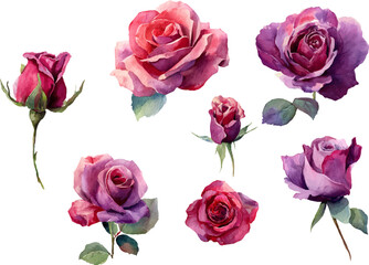 Naklejka premium bouquet of roses