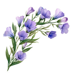 Wax Flower, watercolor painting vector, isolated on a white background.