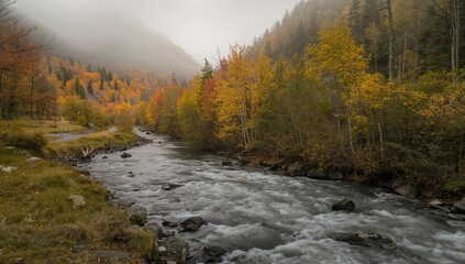 A foggy fall morning in nature near a swift mountain stream with a sandy beach, highlighting seasonal change