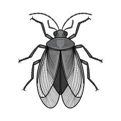 A lace bug illustration vector style