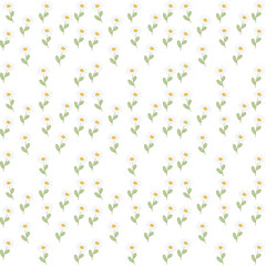 confetti