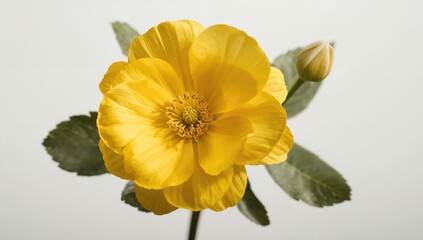 Close-up image of a vibrant yellow blossom, showcasing natural beauty, Earth Day