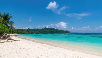 Fototapeta premium Pristine white sands of a tropical beach, ideal for diving and snorkeling with marine life