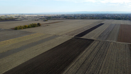 harvested fields in Vojvodina province in autumn seen from above