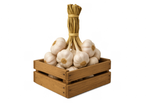 Garlic braid in wooden crate on transparent background