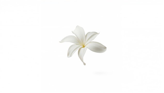 Jasmine blossom, a delicate white flower suspended in the air against a white backdrop, levitation theme
