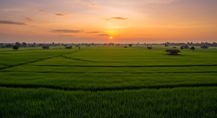 Vibrant Sunset Over Lush Green Agricultural Fields.