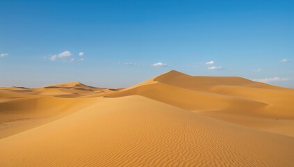 Golden sand dunes extend across the landscape beneath a bright blue sky, highlighting erosion risk