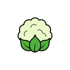 green cabbage isolated on white