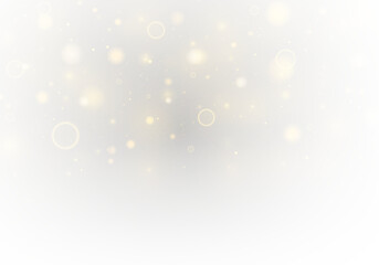 Golden sparkle bokeh and dust shimmer beautifully across the background. Tiny motion particles twinkle softly. The effect enhances cards, banners, and invitations.PNG